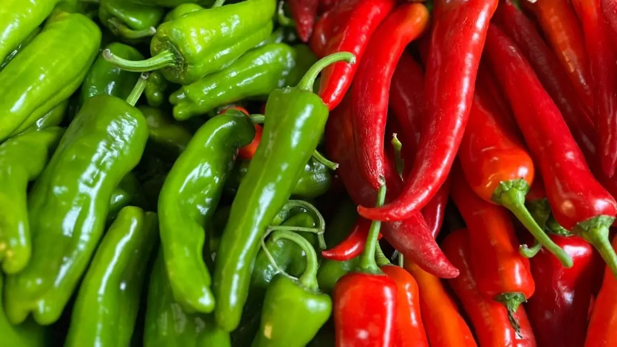 Biber fiyatları Bakanlığı harekete geçirdi