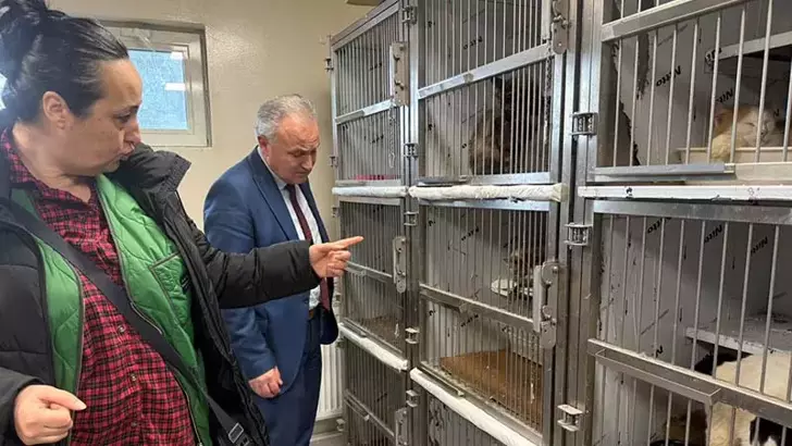 Kötü şartlarda tutulan 102 hayvana el konuldu