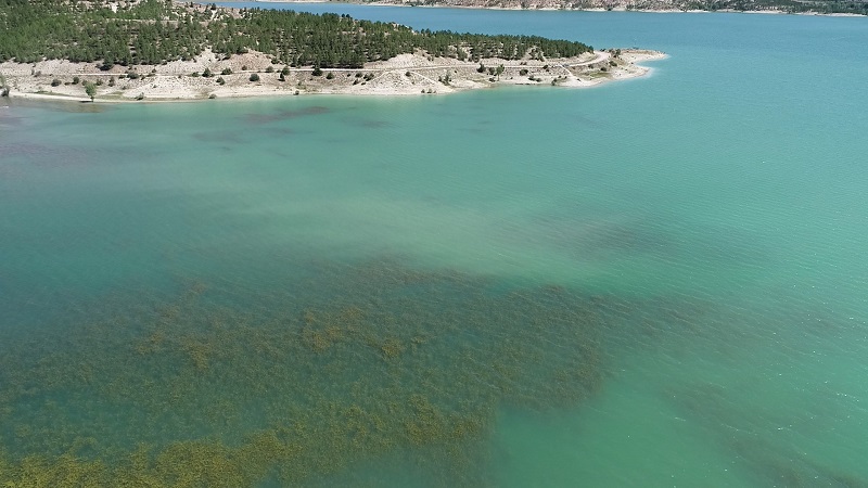 Yapay zeka su harcıyor mu?