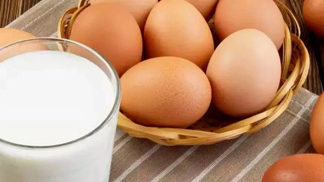 Yumurta, tavuk eti ve içme sütü üretimi azaldı