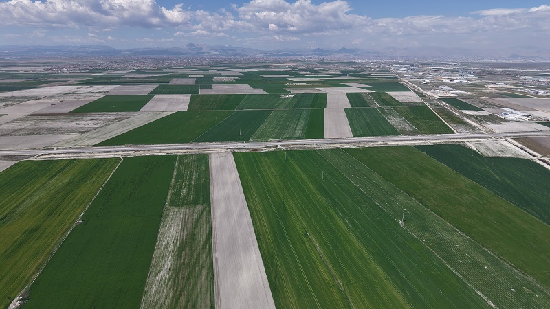 Yağışlar Konya Ovasına yaradı