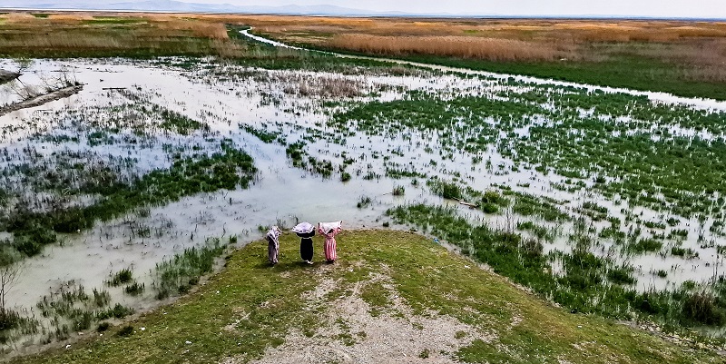 Akşehir Gölü canlanıyor