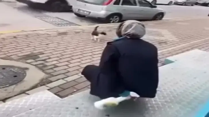 Adli kontrol şartıyla serbest kaldı