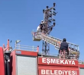 Tamir için çıktığı direkte mahsur kaldı