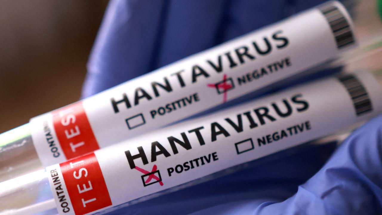 Hantavirüs yeni bir Covid çeşidi mi ?