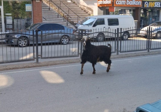 Bayram öncesinin değişmeyen görüntüleri