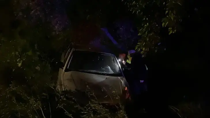 Bursa'da otomobil zeytinliğe uçtu