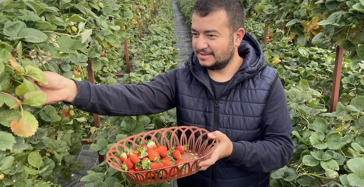 Bankacılığı bırakıp tarıma yöneldi