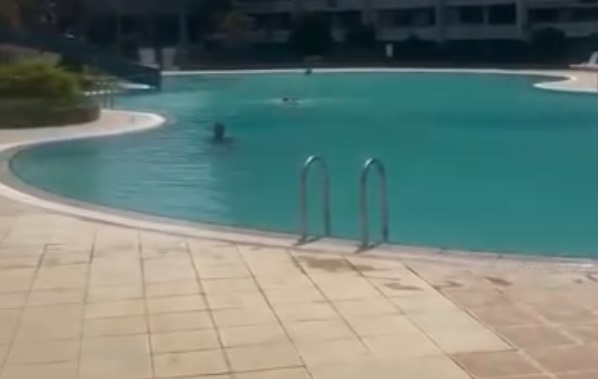 Haşema ile havuza alınmadığı iddiasına tutuklama