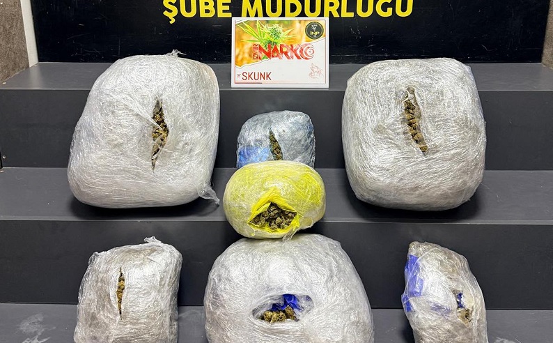 İzmir'de 15 kilo skunk ele geçirildi