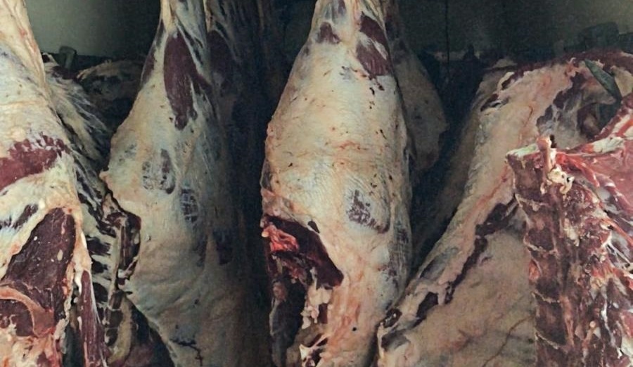 1,8 ton karkas et imha edildi