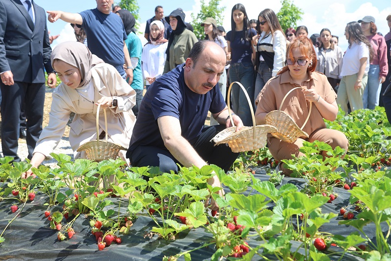 Tarımsal destek başvuruları başlıyor