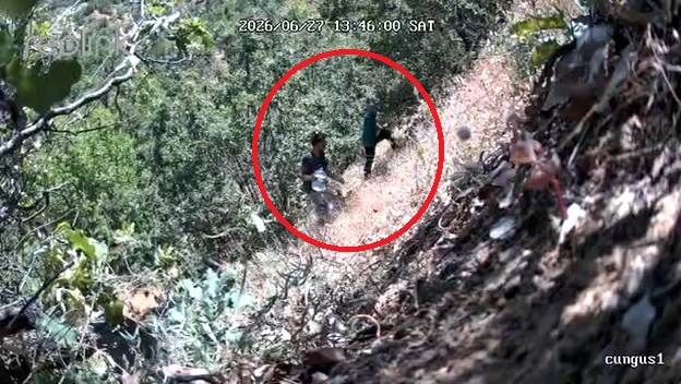 Kenevirlerin bakımını yaparken fotokapana yakalandı