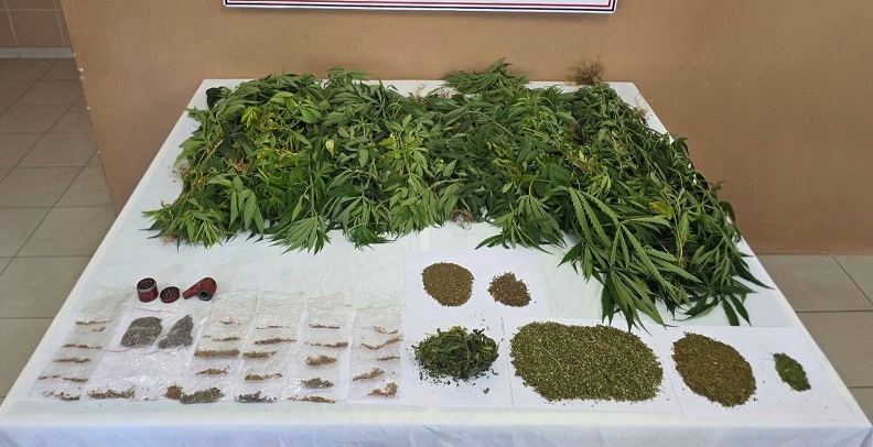 Jandarma'dan uyuşturucu operasyonları