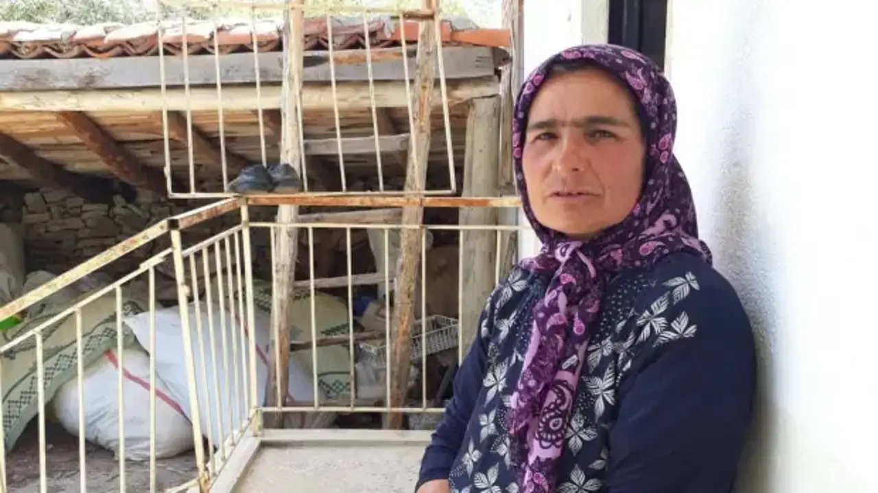 5. günde sağ olarak bulundu
