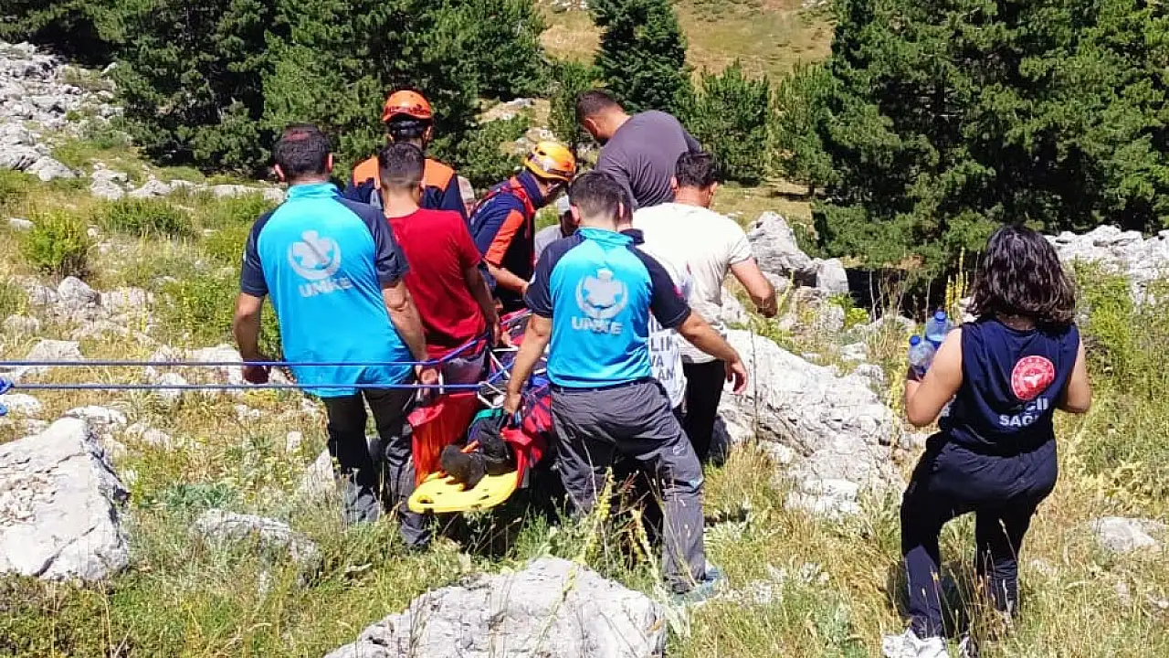 Kekik toplamaya çıktı, kayalıklardan düştü