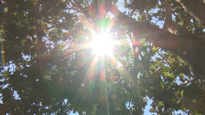 Adana’da hava sıcaklığı 37 dereceyi gördü