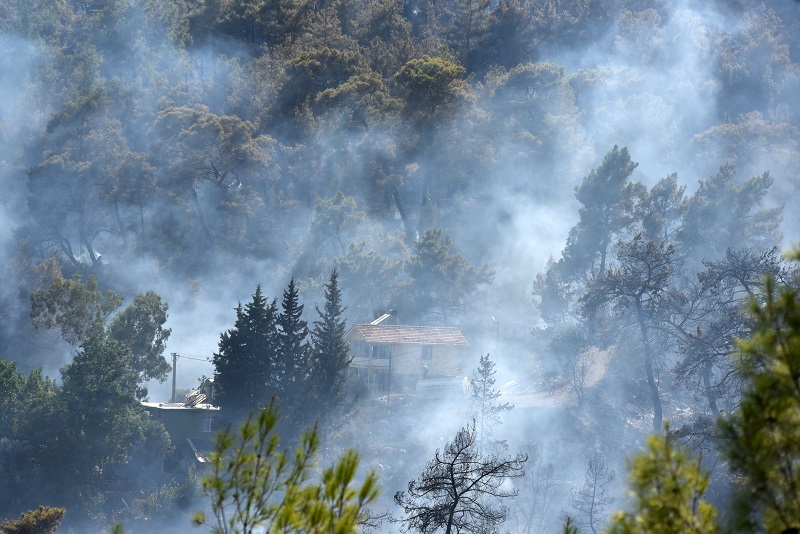 Antalya- Kumluca'da orman yangını