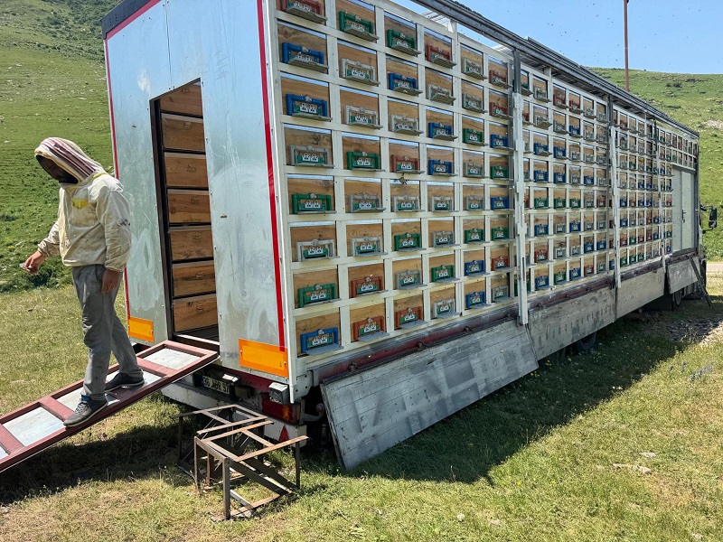 TIR dorsesini 'mobil bal üretim' tesisine dönüştürdü