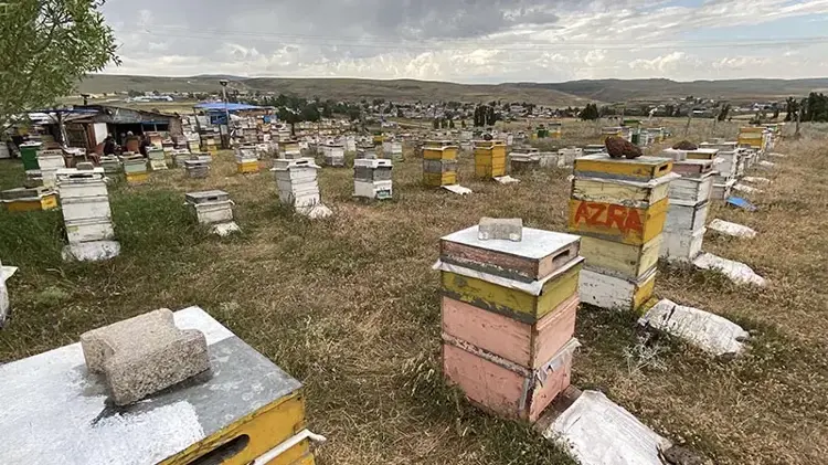 Arıcılardan dolu ve fırtınaya karşı ‘taşlı’ önlem