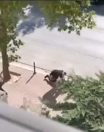 Yolda karşılaştığı husumetlisini öldürdü