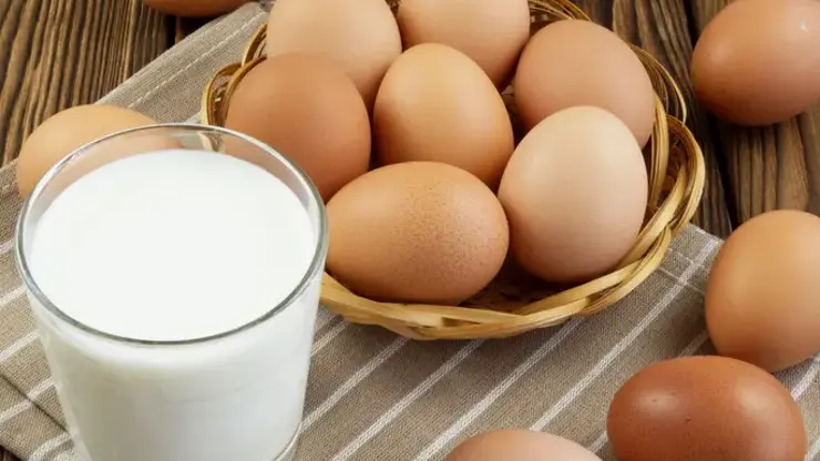 Yumurta, içme sütü üretimi ve tavuk eti üretimi arttı