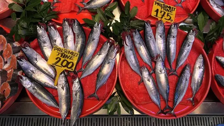 Av yasağı sona eriyor