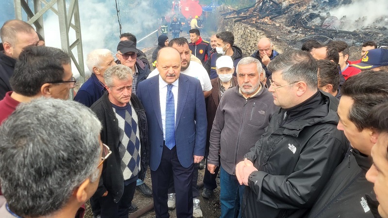Köyde çıkan yangında 11 ev yandı