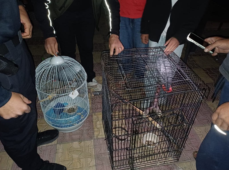 Belgesiz hayvan satışına para cezası