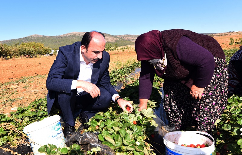 Dünya Kadın Çiftçiler Günü