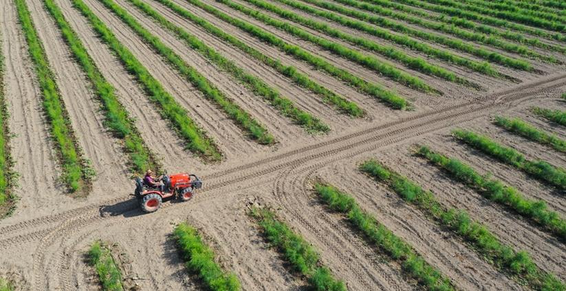 Konya tarım, ormancılık ve balıkçılık sektöründe ilk sırada
