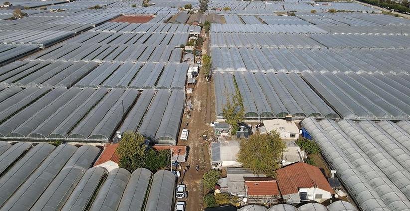 Antalya'da sel felaketinden 13 bin 220 dekar sera alanı etkilendi