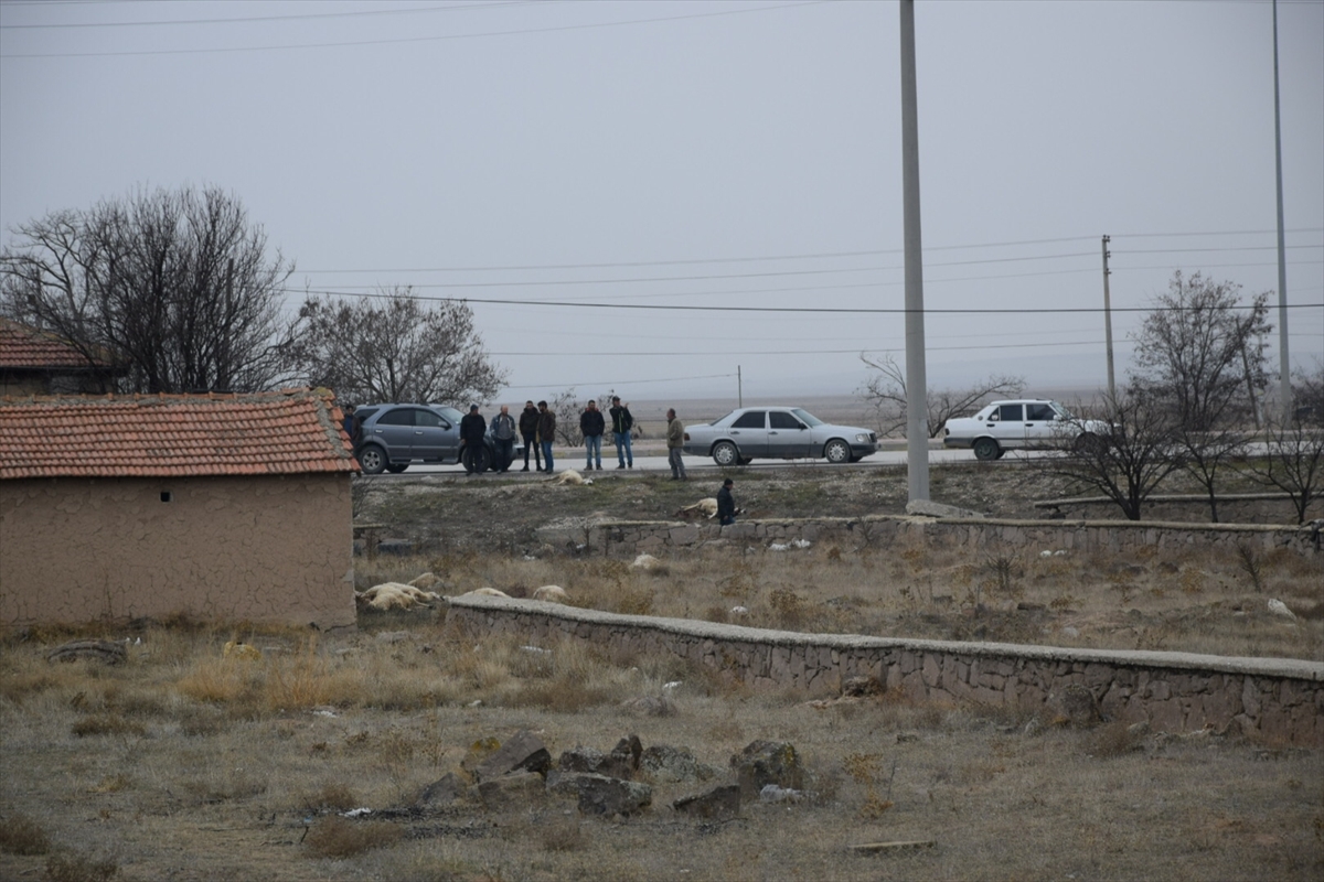  Merada otlayan 35 gebe koyun telef oldu