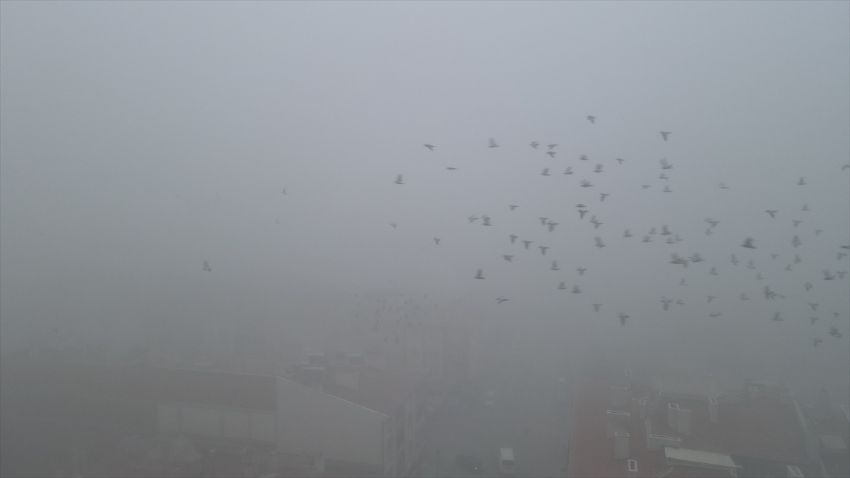 Cihanbeyli'de yoğun sis