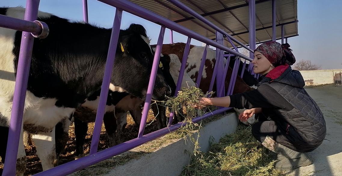 Kadın girişimci devlet desteğiyle çiftlik kurdu
