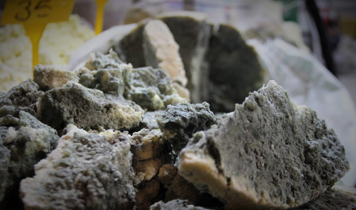 Küflü peynir güvenilir satıcıdan alınmalı