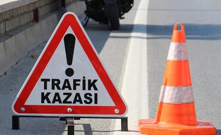 Köpeklerin kovaladığı mopet kaza yaptı