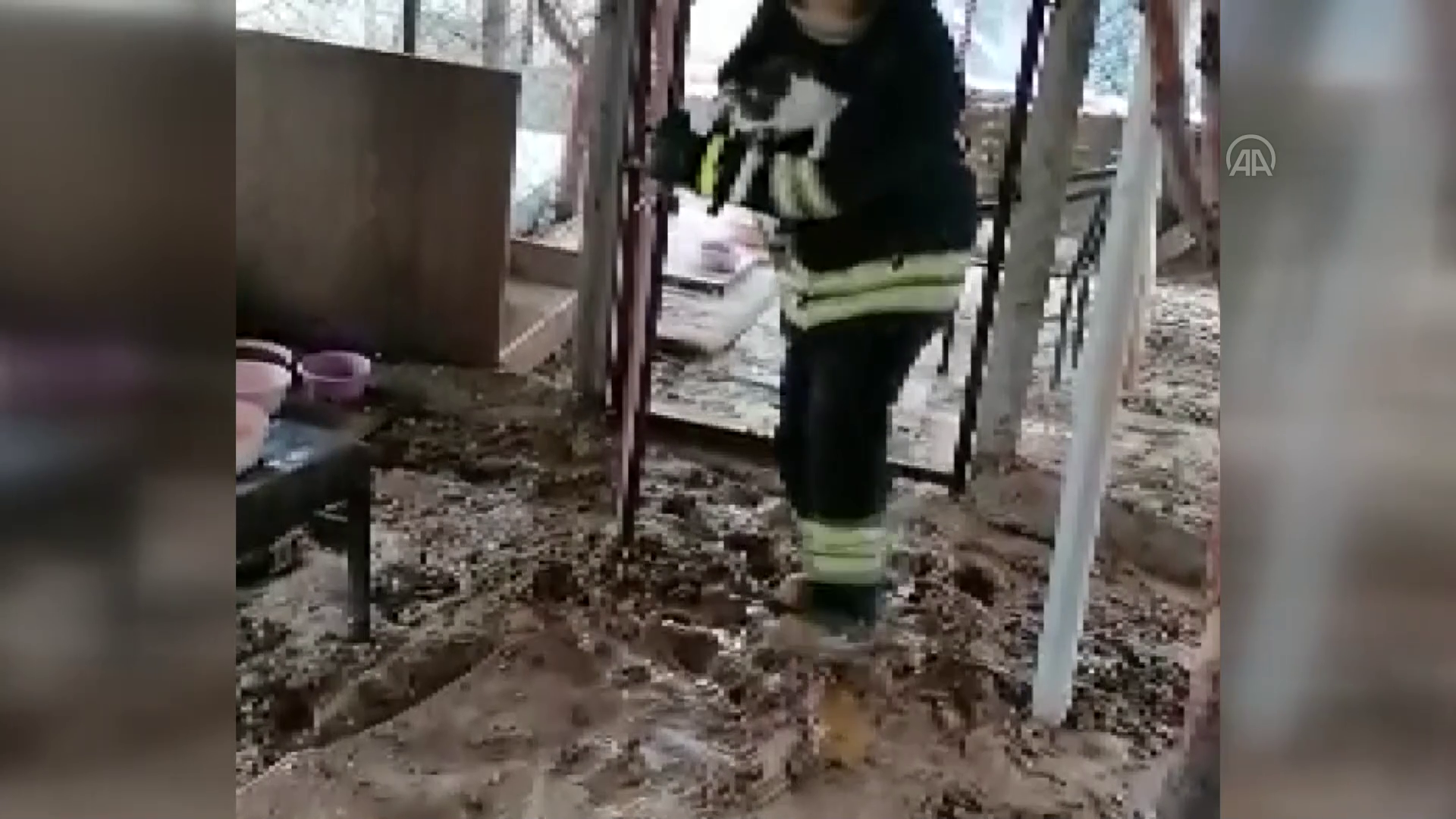 Barınaktaki kedileri itfaiye kurtardı
