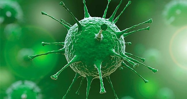 2 Ekim 2021 corona virüs tablosu