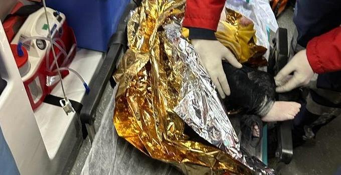 7 aylık bebek 66 saat sonra enkazdan kurtarıldı