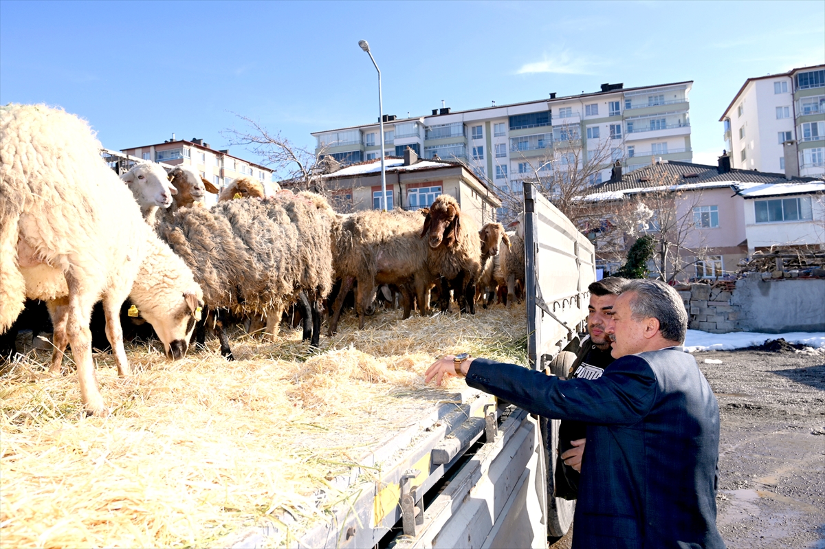 Seydişehir'den Gaziantep'e küçükbaş hayvan desteği