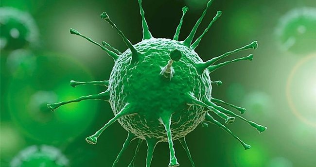 Koronavirüs vakaları ve aşılamada son durum