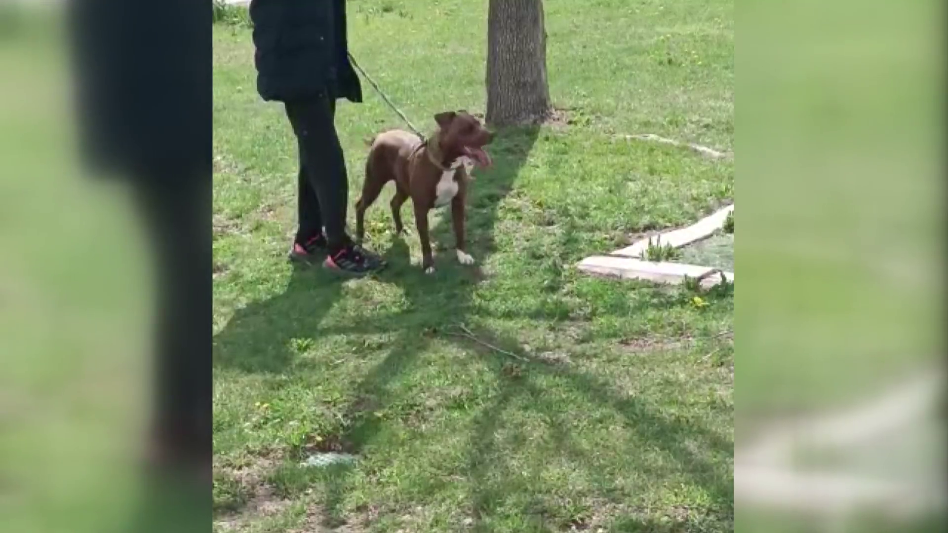 33 bin TL ceza ödeyecek