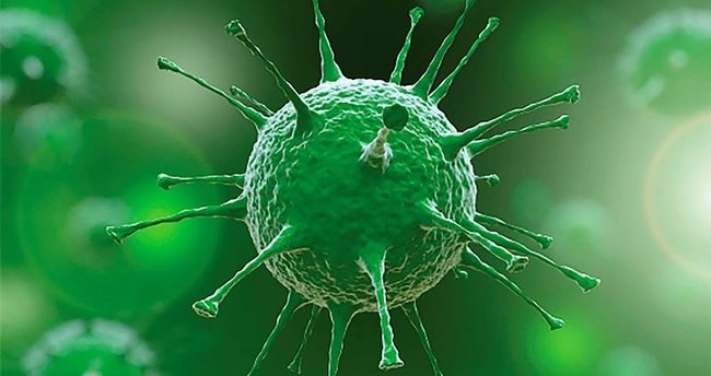 Koronavirüs ve aşılamada son durum