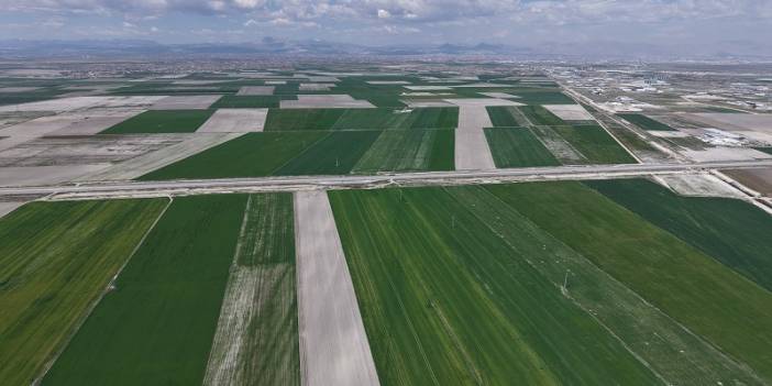 Yağışlar Konya Ovasına yaradı