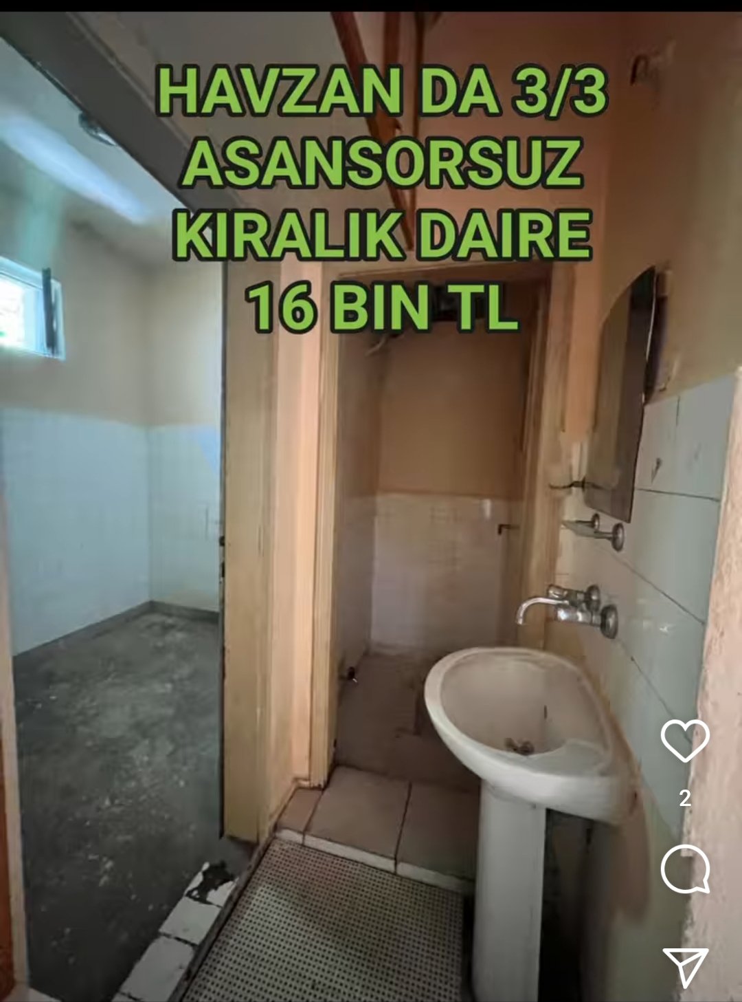 d3.jpeg