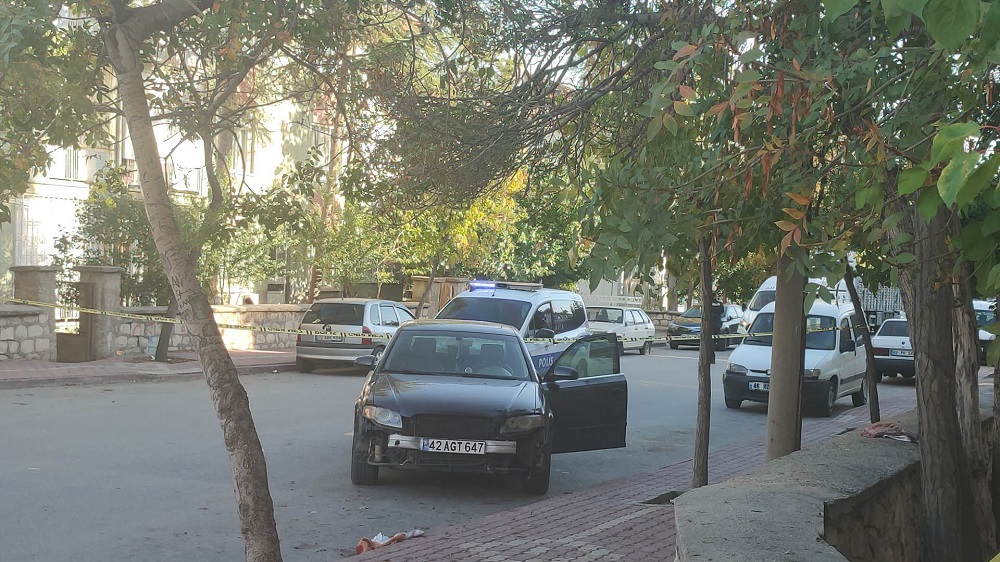 en.jpg