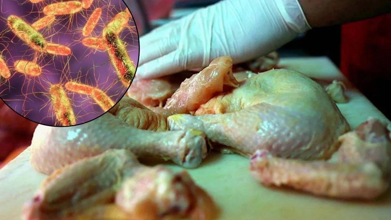 1737442783641-salmonella-bakterisi-turkiyede-gida-tehlikesi-olusturuyor.webp