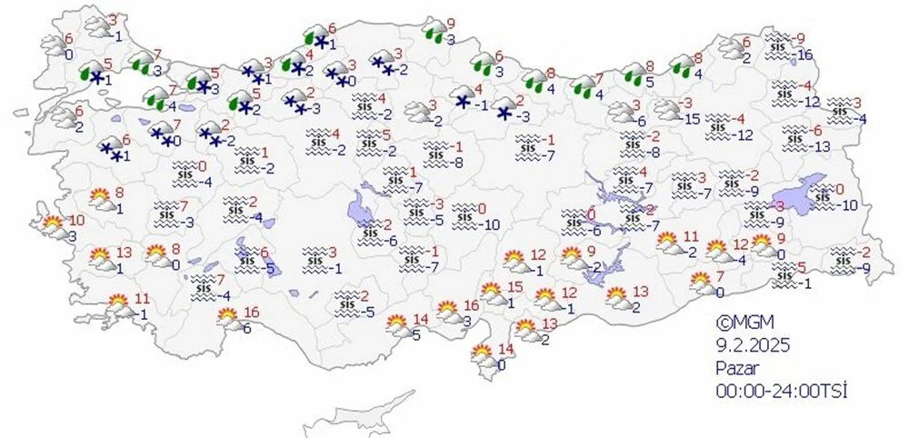 pazar.webp