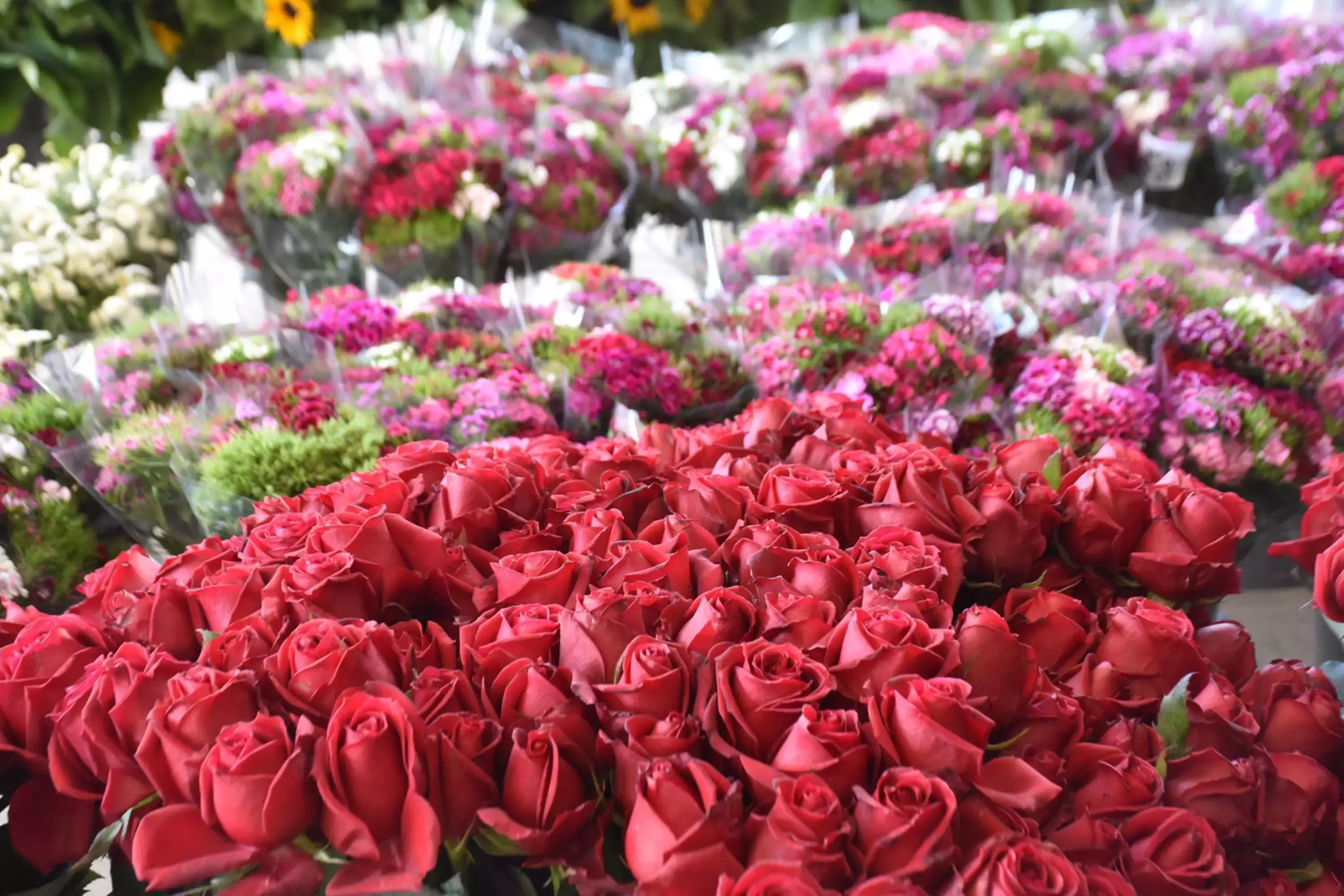 67ab01cecd4e6a434a137766.webp